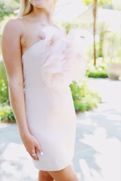 Garden Mini Dress - Beige -Fashion Finds Outlet ScreenShot2023 08 14at11.46.21AM