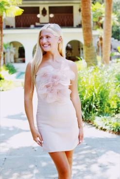 Garden Mini Dress - Beige